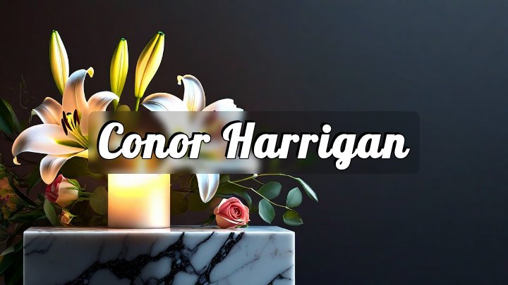 Conor Harrigan, Summerfield Township