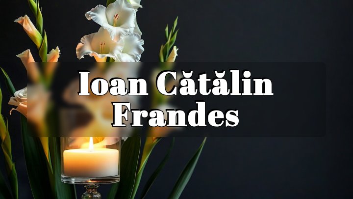 Ioan Cătălin Frandes, Croatia